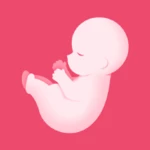 Logo of PregTracker Pregnancy Tools android Application 